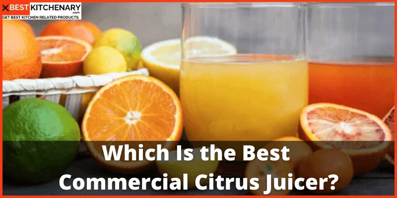 Which is the best Commercial Citrus Juicer?